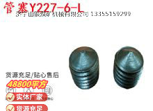 點(diǎn)擊查看詳細(xì)信息<br>標(biāo)題：英格索蘭隔膜泵配件管塞Y227-6-L 閱讀次數(shù)：178
