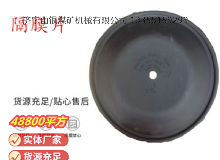 點擊查看詳細信息<br>標題：氣動隔膜泵配件-隔膜片 閱讀次數(shù)：144